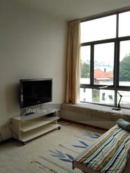 Viz At Holland (D10), Condominium #135645802